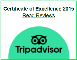 tripadvisor
